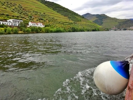 visita ao Douro com a WindlandTours