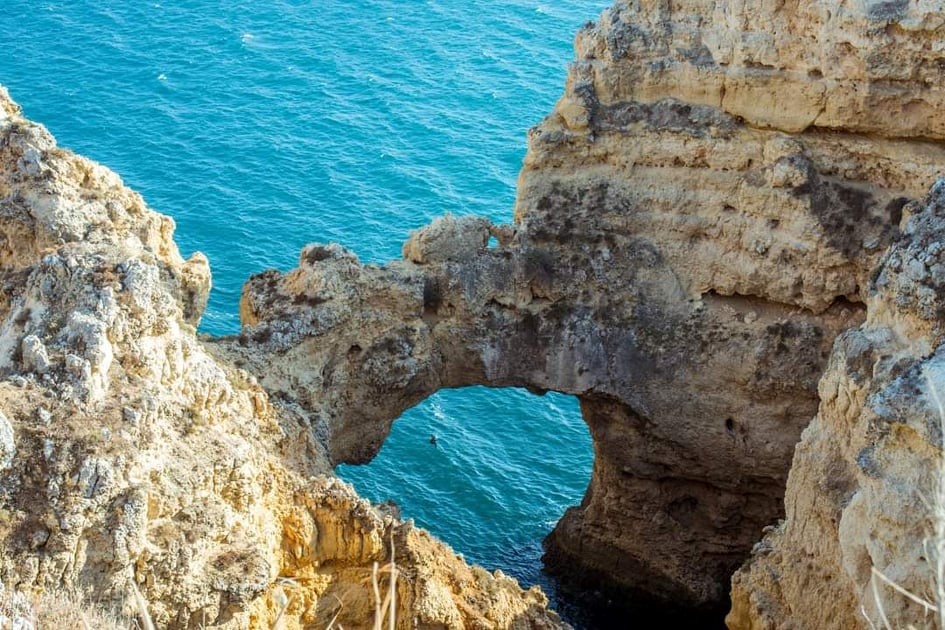 86634737-214027123059642-6576428956990308352-n