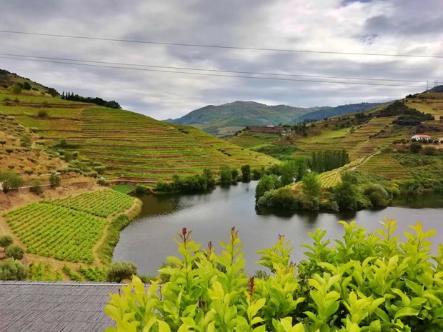 Douro Valley highlights of portugal 