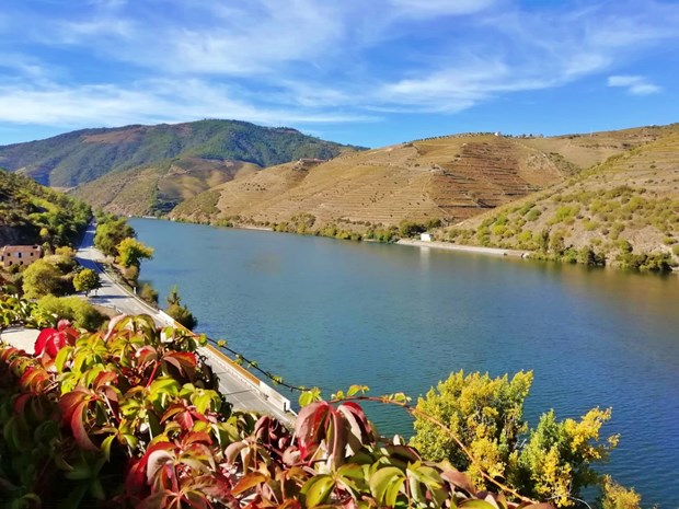 Douro Valley Best of Portugal
